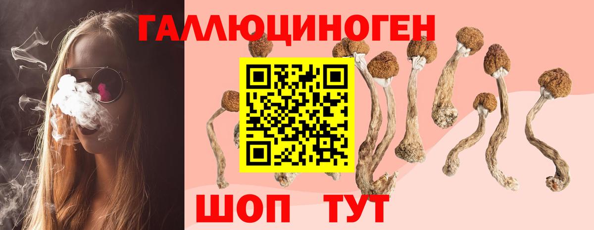 Галлюциногенные грибы Psilocybine cubensis  Псилоцибиновые грибы Cubensis  что такое   Фролово  Вход с VPN 