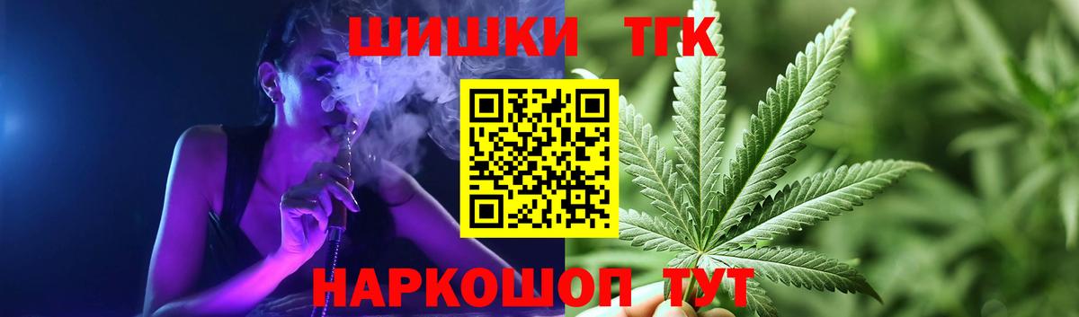 Конопля сатива Фролово